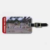 Zebra Double Take Foto Gepäckanhänger (Vorderseite horizontal)