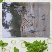 Zebra Double Take Foto Küchentuch (Gefaltet)