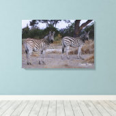Zebra Double Take Foto Leinwanddruck (Insitu (Holzboden))
