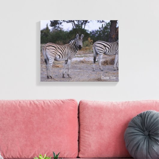 Zebra Double Take Foto Leinwanddruck (Insitu (Wohnzimmer))