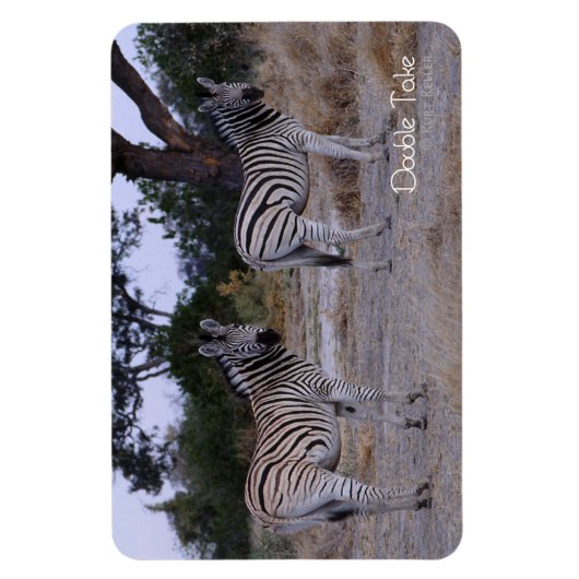 Zebra Double Take Foto Magnet (Vertikal)