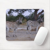 Zebra Double Take Foto Mousepad (Mit Mouse)