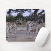 Zebra Double Take Foto Mousepad (Mit Mouse)
