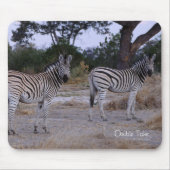 Zebra Double Take Foto Mousepad (Vorne)
