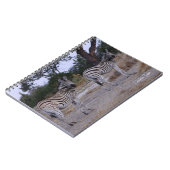 Zebra Double Take Foto Notizblock (Linke Seite)