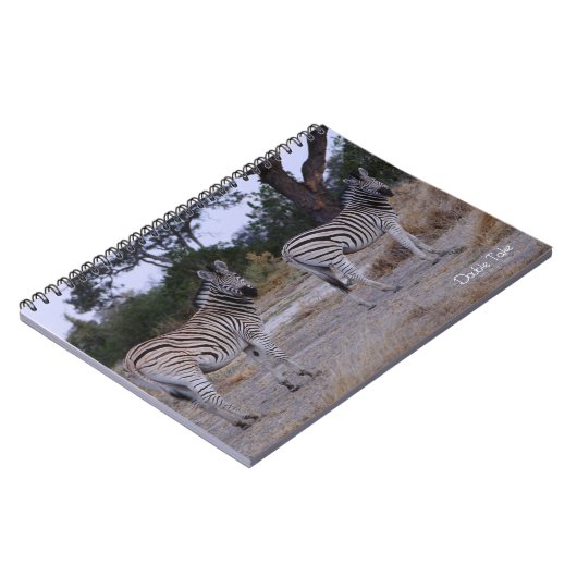 Zebra Double Take Foto Notizblock (Linke Seite)