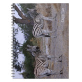 Zebra Double Take Foto Notizblock (Vorderseite)