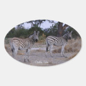 Zebra Double Take Foto Ovaler Aufkleber (Vorderseite)