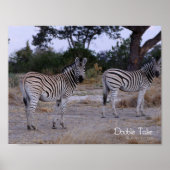 Zebra Double Take Foto Poster (Vorne)