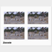 Zebra Double Take Foto Rechteckiger Aufkleber (Blatt)