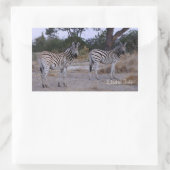 Zebra Double Take Foto Rechteckiger Aufkleber (Tasche)