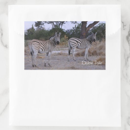 Zebra Double Take Foto Rechteckiger Aufkleber (Tasche)