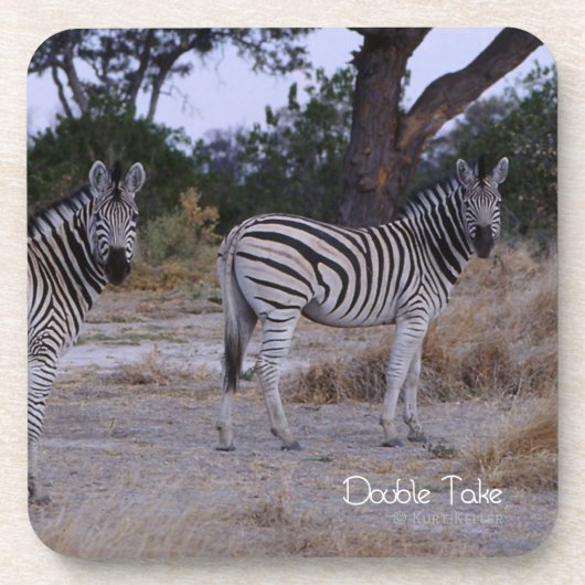 Zebra Double Take Foto Untersetzer (Vorderseite)
