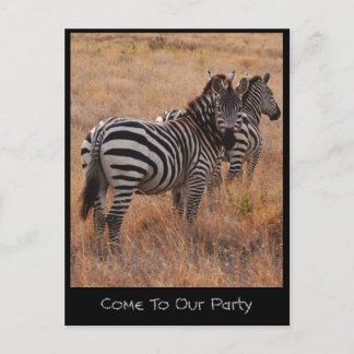 Zebra Einladung Postkarte