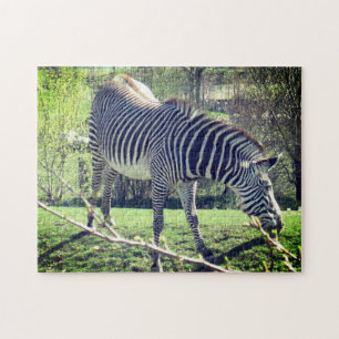 Zebra Entspannung der Selbstversorgung Puzzle