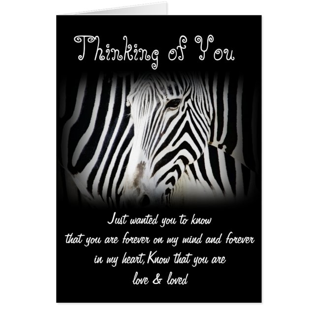 Zebra_ Eventuelle Ereignisse_ (Vorne)