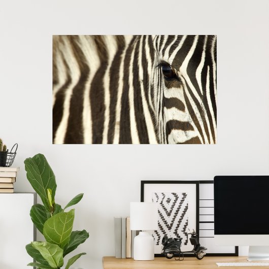 Zebra Eye Poster (Heimbüro)