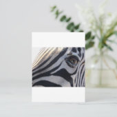 Zebra Eye Postkarte (Stehend Vorderseite)