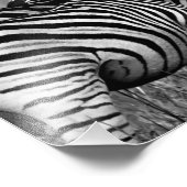 Zebra-Familie Fotodruck (Ecke)