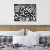 Zebra-Familie Leinwanddruck (Insitu (Schlafzimmer))