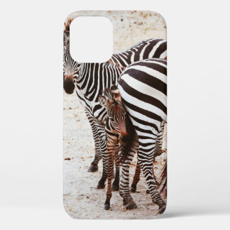 ZEBRA FAMILY Case-Mate iPhone HÜLLE