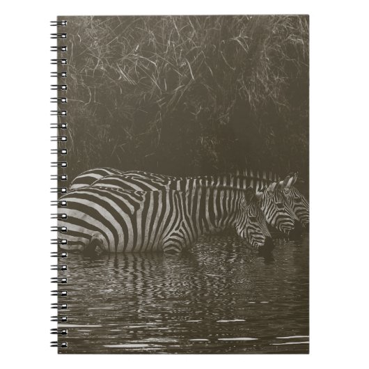 ZEBRA FAMILY DRINK NOTIZBLOCK (Vorderseite)