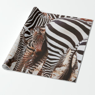 ZEBRA FAMILY GESCHENKPAPIER