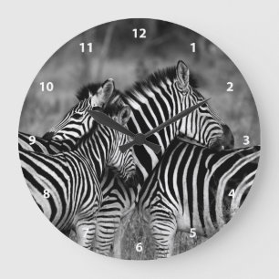Zebra Family Große Wanduhr