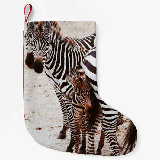 ZEBRA FAMILY KLEINER WEIHNACHTSSTRUMPF (Vorderseite)