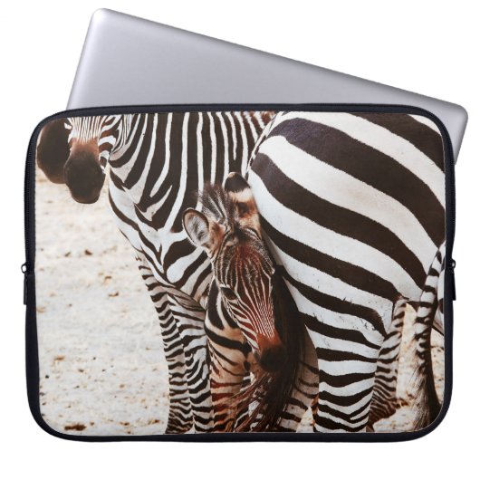 ZEBRA FAMILY LAPTOPSCHUTZHÜLLE (Vorderseite)
