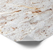 ZEBRA FAMILY POSTER (Ecke)