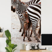 ZEBRA FAMILY POSTER (Heimbüro)