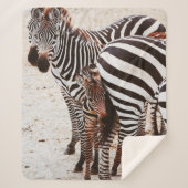 ZEBRA FAMILY SHERPADECKE (Vorderseite)