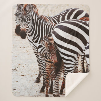 ZEBRA FAMILY SHERPADECKE