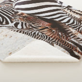 ZEBRA FAMILY SHERPADECKE (3/4)