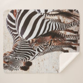 ZEBRA FAMILY SHERPADECKE (Vorderseite (Horizontal))