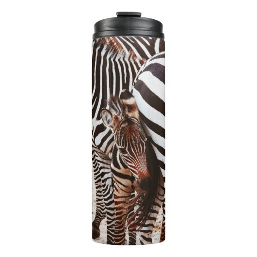 ZEBRA FAMILY THERMOSBECHER (Vorderseite)