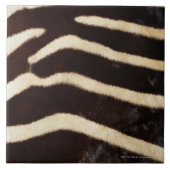 Zebra-Fell Fliese (Vorderseite)