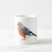 Zebra Finch auf einer Kaffee-Tasse Kaffeetasse (Mittel)