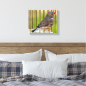 Zebra Finch Bird in Cage Leinwanddruck (Insitu (Schlafzimmer))