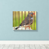 Zebra Finch Bird in Cage Leinwanddruck (Insitu (Holzboden))