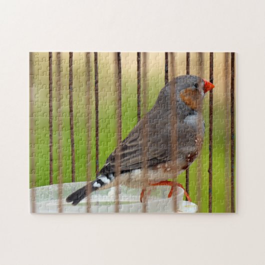 Zebra Finch Bird in Cage Puzzle (Horizontal)