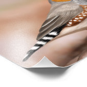 Zebra Finch Bird Museo Cantonale d'Arte Fotodruck (Ecke)
