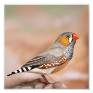 Zebra Finch Bird Museo Cantonale d'Arte Fotodruck