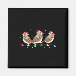 Zebra Finch Bird Weihnachtsbeleuchtung Funny Pet X Magnet