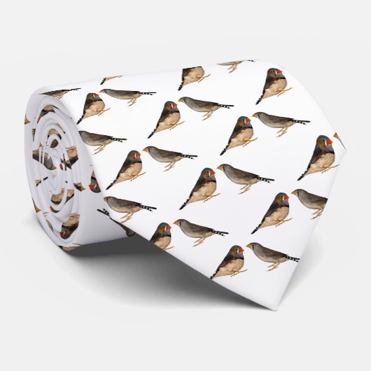 Zebra Finch Frenzy 2 Krawatte dbl Sided (Farbe aus (Gerollt)