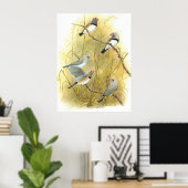 Zebra Finch Group - Taeniopygia guttata Poster (Heimbüro)