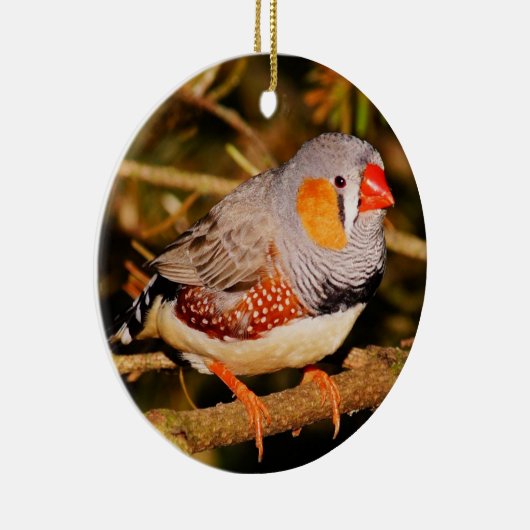 Zebra Finch Keramik Ornament (Rechts)