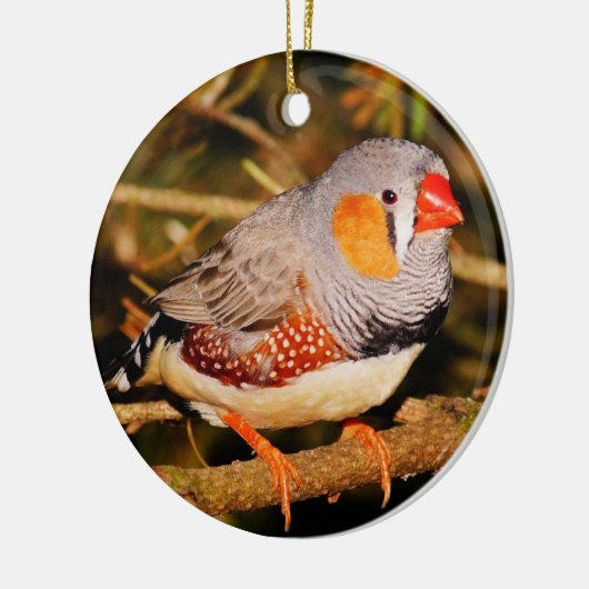 Zebra Finch Keramik Ornament (Links)