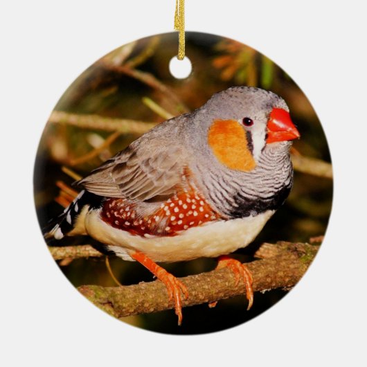 Zebra Finch Keramik Ornament (Hinten)